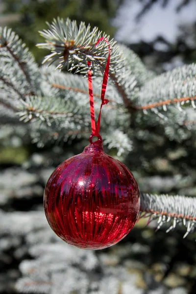 Röd christmas ornament, röda bollen, på xmas trädet på natur bakgrund och suddig gren. Merry christmas card. Vinter semester-tema. Gott Nytt År. — Stockfoto