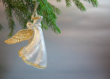 Noel trompet melek oyuncak beyaz arka plan üzerinde Noel ağacı dalı