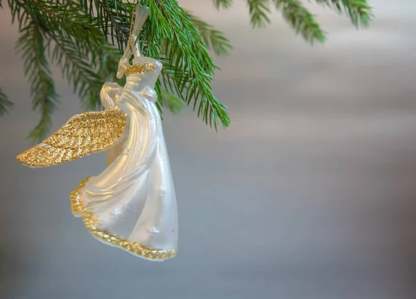 Juguete de ángel de trompeta de Navidad en rama de árbol de Navidad sobre fondo blanco —  Fotos de Stock