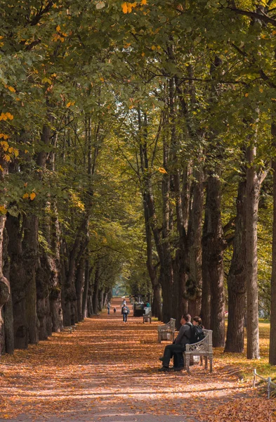 People sitting along the alley in the distance and a ornate bench in the park in the autumn — Stock Photo, Image