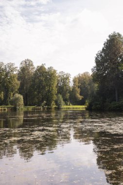 Sonbahar manzara, nehir, park, güneşli havalarda. Pavlovsk, St Petersburg