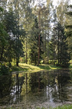 Sonbahar manzara, nehir, park, güneşli havalarda. Pavlovsk, St Petersburg