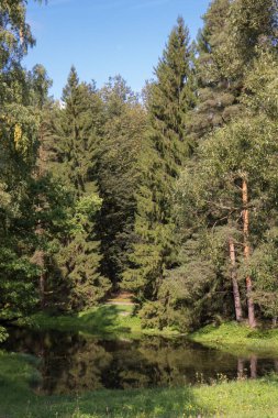 Sonbahar manzara, nehir, park, güneşli havalarda. Pavlovsk, St Petersburg