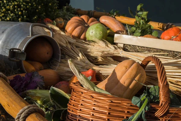 Samenstelling van pompoenen, bloemen en tarwe voor Thanksgiving day — Stockfoto