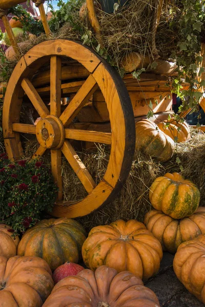 Kar met de oogst van de pompoenen en hooi voor Thanksgiving viering — Stockfoto