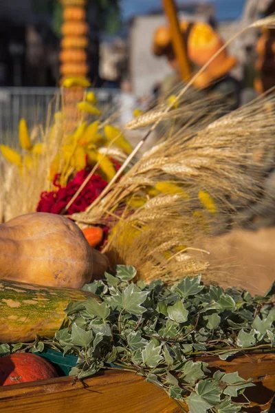 Samenstelling van pompoenen, bloemen en tarwe voor Thanksgiving day — Stockfoto
