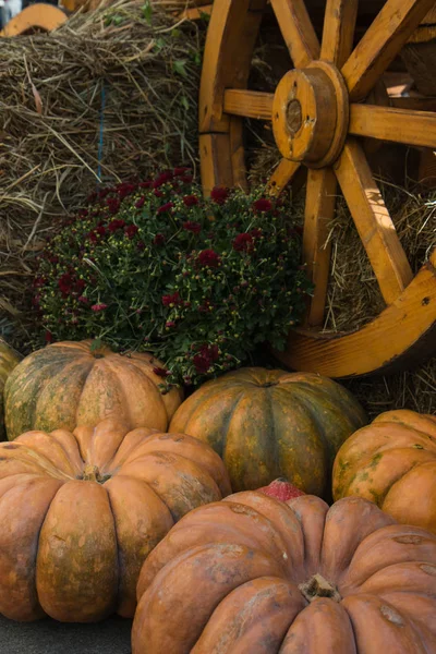 Carro con la cosecha de calabazas y heno para la celebración de Acción de Gracias — Foto de Stock