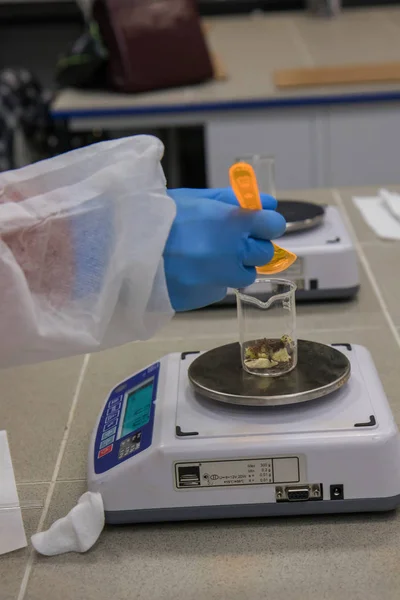 Proceso de trabajo en laboratorio de nanotecnología de producción cosmética. Componentes de mezcla . — Foto de Stock