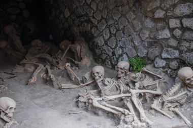 Skeletal remains of victims of the AD 79 Vesuvius eruption, Herculaneum, Italy clipart