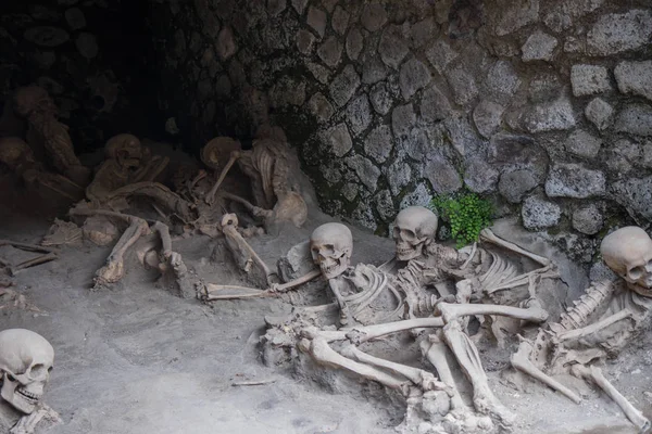 Σκελετικά υπολείμματα των θυμάτων της έκρηξης του Βεζούβιου 79 Ad, Herculaneum, Ιταλία — Φωτογραφία Αρχείου