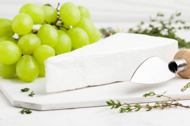 Brie peyniri, Camembert yeşil üzüm ile kekik gemide, lezzetli ürün