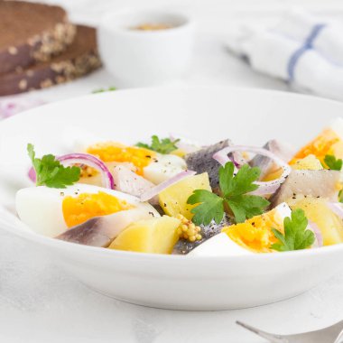 Patates salatası ile ringa balığı, yumurta, soğan, lezzetli meze beyaz bir tabak içinde hardallı