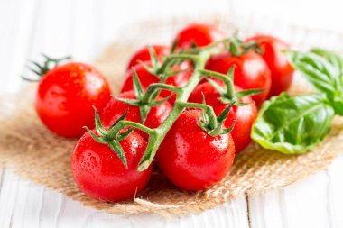 Kiraz domates damla ile dal su, makro, yakın çekim, lezzetli taze hasat. Organik doğal gıda