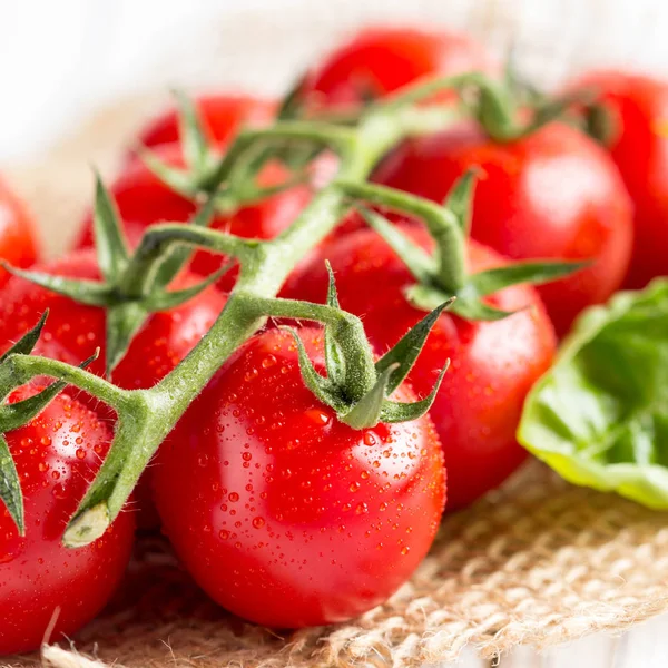 Tomates Cherry Una Rama Con Gotas Agua Macro Primer Plano — Foto de Stock