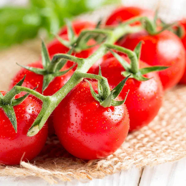Tomates Cherry Una Rama Con Gotas Agua Macro Primer Plano — Foto de Stock