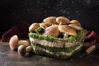 Moss, sonbaharda hasat, çörek, beyaz ve aspen sepet içinde orman mantar. Karanlık bir arka plan üzerinde ham taze mantar