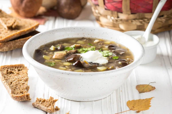 Forest Mushroom Soup Boletus Potatoes Pearl Barley Sour Cream Classic — Stock Photo, Image