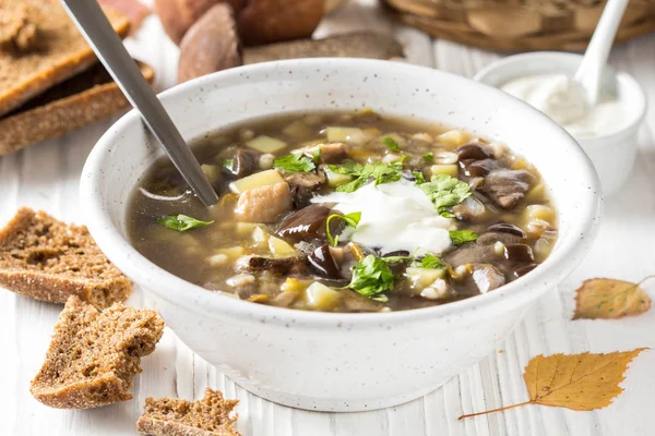 Forest Mushroom Soup Boletus Potatoes Pearl Barley Sour Cream Classic — Stock Photo, Image