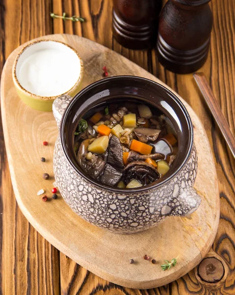 蘑菇汤在一个锅里加胡萝卜 土豆和酸奶油 俄罗斯传统菜肴 舒适的冬季午餐 — 图库照片