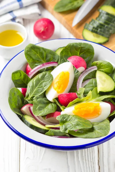 Salade Printemps Fraîche Aux Épinards Radis Concombre Oeuf Délicieux Déjeuner — Photo