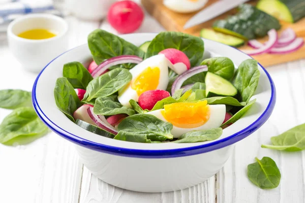 Fresh Spring Salad Spinach Radish Cucumber Egg Delicious Lunch Healthy — Stock Photo, Image