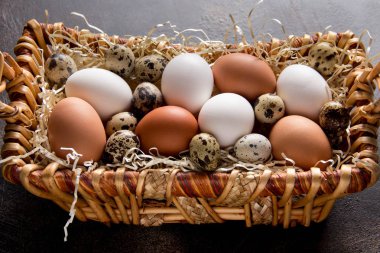 Farklı yumurta sepet, beyaz, karanlıkta bıldırcın ve tavuk. Paskalya tatili