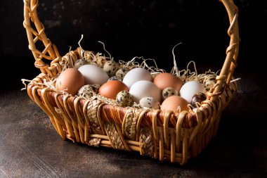 Farklı yumurta sepet, beyaz, karanlıkta bıldırcın ve tavuk. Paskalya tatili