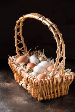 Farklı yumurta sepet, beyaz, karanlıkta bıldırcın ve tavuk. Paskalya tatili