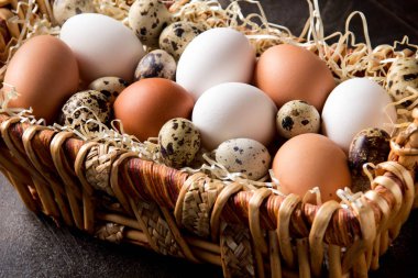 Farklı yumurta sepet, beyaz, karanlıkta bıldırcın ve tavuk. Paskalya tatili