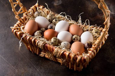 Farklı yumurta sepet, beyaz, karanlıkta bıldırcın ve tavuk. Paskalya tatili