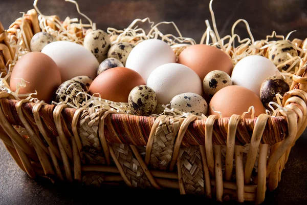 Farklı yumurta sepet, beyaz, karanlıkta bıldırcın ve tavuk. Paskalya tatili