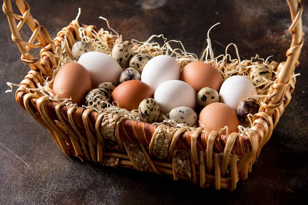 Farklı yumurta sepet, beyaz, karanlıkta bıldırcın ve tavuk. Paskalya tatili