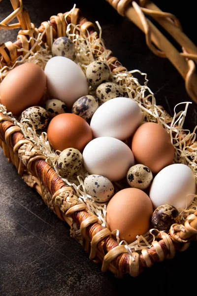 Farklı yumurta sepet, beyaz, karanlıkta bıldırcın ve tavuk. Paskalya tatili