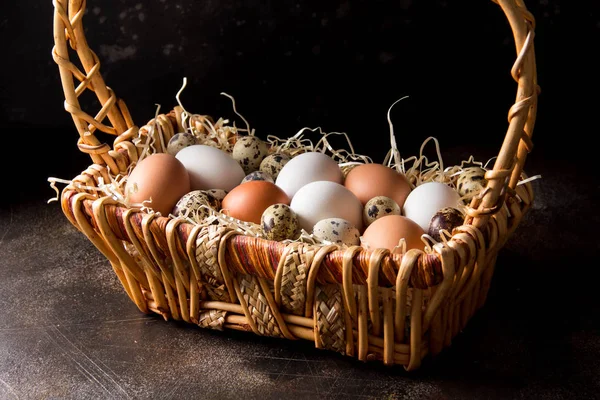 Farklı yumurta sepet, beyaz, karanlıkta bıldırcın ve tavuk. Paskalya tatili