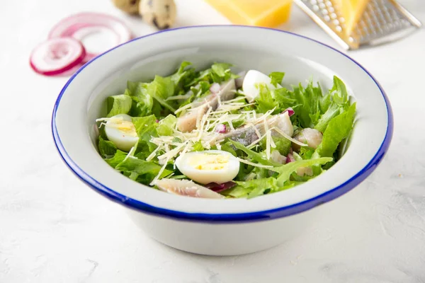 Frisse salade met gezouten haring, vis, sla, gekookt kwartel ei — Stockfoto