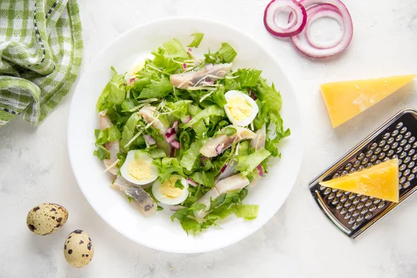 Fresh salad with salted herring, fish, lettuce, boiled quail egg — Stock Photo, Image