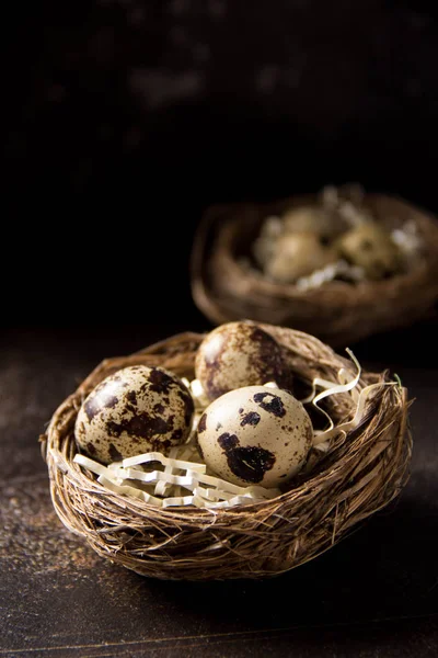 Wachteleier im Nest auf dunklem Hintergrund. Osterferien — Stockfoto