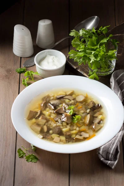Soup of wild mushrooms (aspen, white, boletus) with vegetables, — Stock Photo, Image