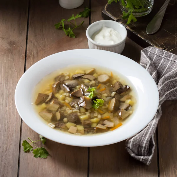 Sopa de setas silvestres (álamo, blanco, boletus) con verduras , — Foto de Stock