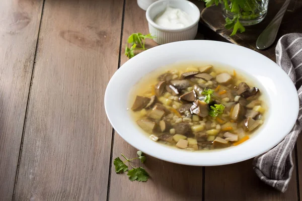 Soup of wild mushrooms (aspen, white, boletus) with vegetables, — Stock Photo, Image