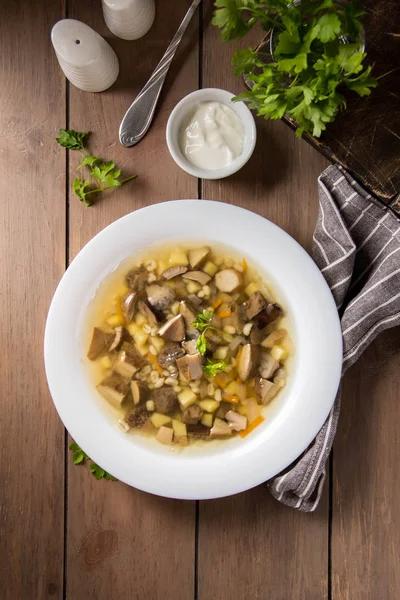 Soup of wild mushrooms (aspen, white, boletus) with vegetables, — Stock Photo, Image