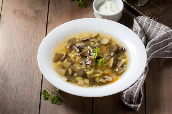 Soup of wild mushrooms (aspen, white, boletus) with vegetables, — Stock Photo, Image