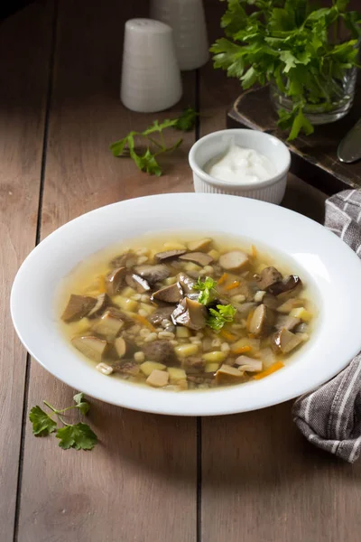 Суп из диких грибов (осины, белые, болетус) с овощами , — стоковое фото