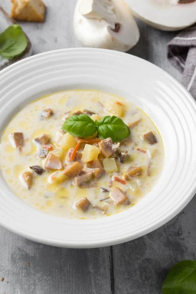 Sopa de queso con champiñones, patatas, zanahorias y croutons Delic —  Fotos de Stock