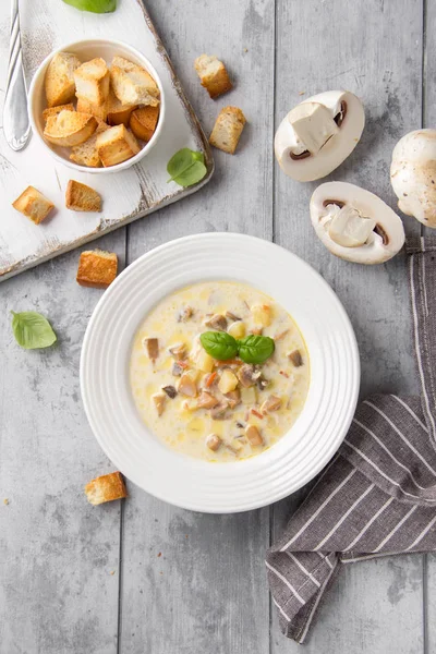 Sopa de queso con champiñones, patatas, zanahorias y croutons Delic —  Fotos de Stock