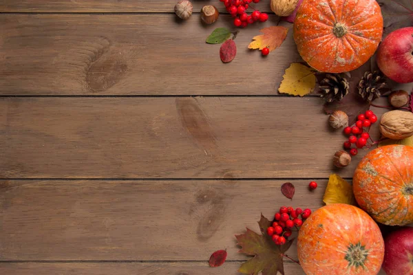 Koyu ahşap arka plan, hasat, sonbahar atmosferik resim üzerinde bütün dekoratif küçük ham kabak. Rowan, kuru yapraklar, mevsim. Kopyalama alanı ile arka plan