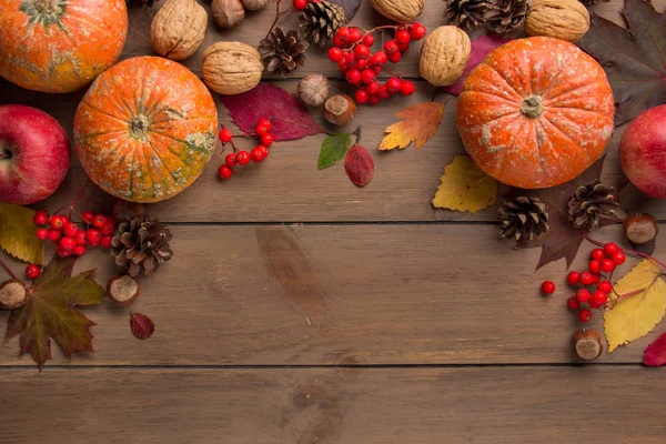 Koyu ahşap arka plan, hasat, sonbahar atmosferik resim üzerinde bütün dekoratif küçük ham kabak. Rowan, kuru yapraklar, mevsim. Kopyalama alanı ile arka plan
