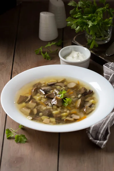 Erdei gomba leves (nyárfa, fehér, zöldséges), — Stock Fotó