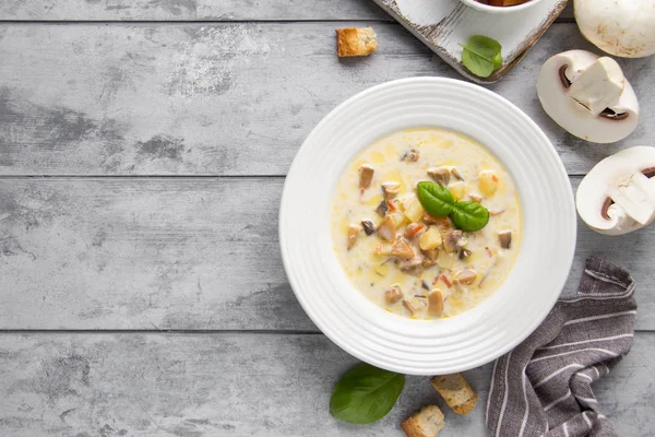 キノコ、ジャガイモ、ニンジン、クルトンデリックのチーズスープ — ストック写真