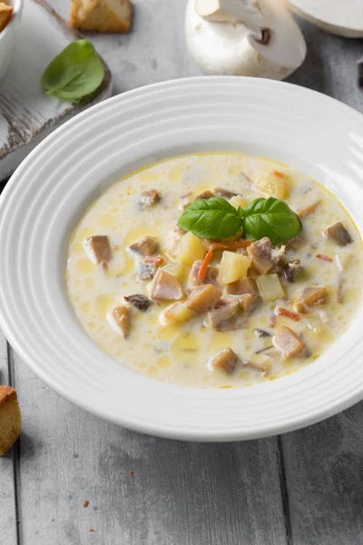 Sopa de queso con champiñones, patatas, zanahorias y croutons Delic —  Fotos de Stock